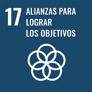 17 Alianzas Para Lograr Los Objetivos 3